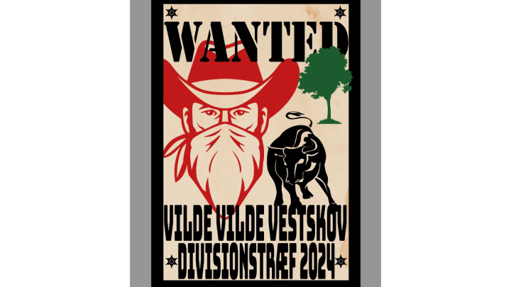 Divisionstræf 2024